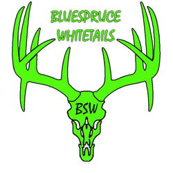 Blue Spruce Whitetails